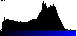 Blue Histogram