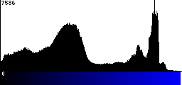 Blue Histogram