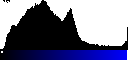Blue Histogram