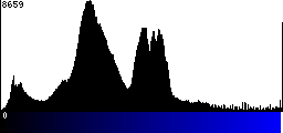Blue Histogram
