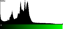 Green Histogram
