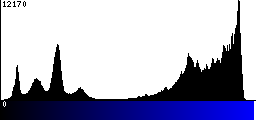 Blue Histogram