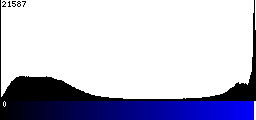 Blue Histogram