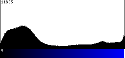 Blue Histogram