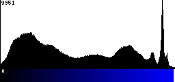 Blue Histogram