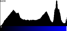 Blue Histogram