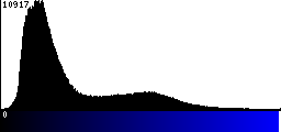Blue Histogram
