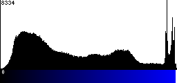 Blue Histogram