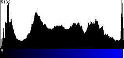 Blue Histogram