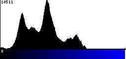 Blue Histogram