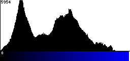 Blue Histogram