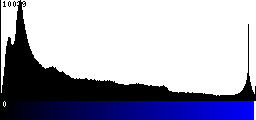 Blue Histogram