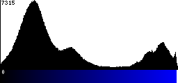 Blue Histogram