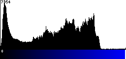 Blue Histogram