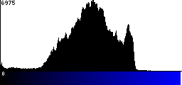 Blue Histogram