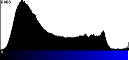 Blue Histogram