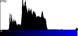 Blue Histogram