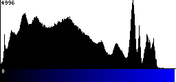 Blue Histogram