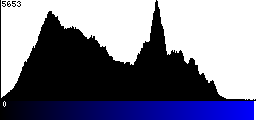 Blue Histogram