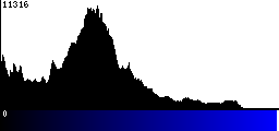 Blue Histogram
