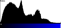 Blue Histogram