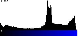 Blue Histogram