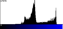 Blue Histogram