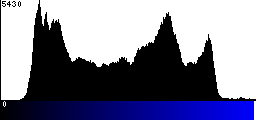 Blue Histogram