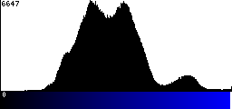Blue Histogram