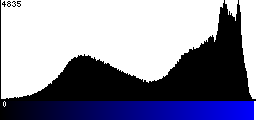 Blue Histogram