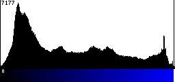 Blue Histogram