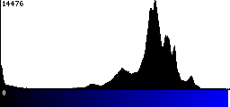 Blue Histogram