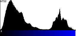 Blue Histogram