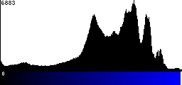 Blue Histogram
