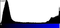 Blue Histogram