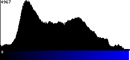 Blue Histogram