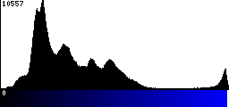 Blue Histogram