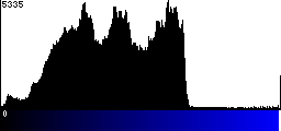Blue Histogram