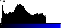 Blue Histogram