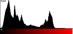 Red Histogram