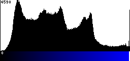 Blue Histogram
