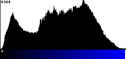 Blue Histogram