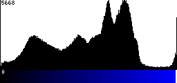Blue Histogram
