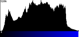 Blue Histogram