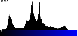 Blue Histogram