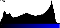 Blue Histogram