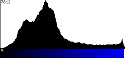 Blue Histogram