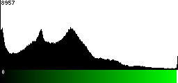 Green Histogram
