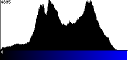 Blue Histogram