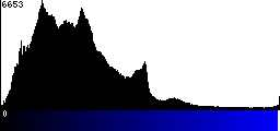 Blue Histogram